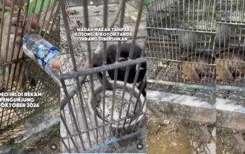 Satwa Bumi Kedaton Dievakuasi, 2 Hewan Masih Sakit