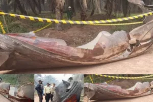 Benda Misterius di Kebun Sawit Kotim, Puing 100 Kg Dikaitkan dengan Dentuman Keras