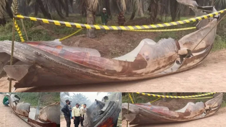 Benda Misterius di Kebun Sawit Kotim, Puing 100 Kg Dikaitkan dengan Dentuman Keras