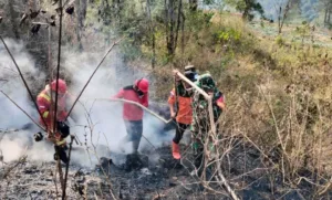 Babinsa Bersama Aparat dan Warga Berhasil Padamkan Kebakaran Lahan Seluas 6 Hektare di Pattapang Gowa