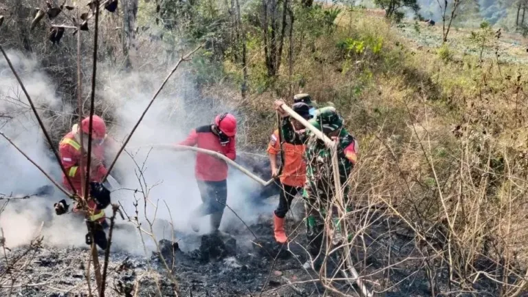 Babinsa Bersama Aparat dan Warga Berhasil Padamkan Kebakaran Lahan Seluas 6 Hektare di Pattapang Gowa