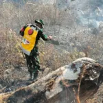 Gerak Cepat Babinsa dan Warga Padamkan Kebakaran Lahan di Pattapang Gowa