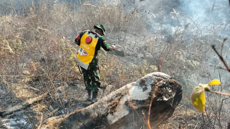Gerak Cepat Babinsa dan Warga Padamkan Kebakaran Lahan di Pattapang Gowa