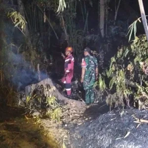 Babinsa dan Damkar Gowa Padamkan Kebakaran Lahan Seluas 50 Hektare