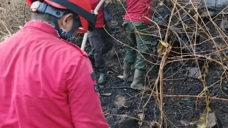 Babinsa Bersama Aparat dan Warga Tanggulangi Kebakaran Lahan di Batulapisi Malino, Luas Terbakar Capai ±5 Hektare