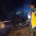 Aksi Cepat Tanggap TNI-Polri dan MPA Padamkan Kebakaran Lahan di Tinggimoncong