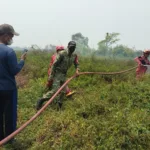 Sinergi Babinsa dan Damkar Gowa Bergerak Cepat Padamkan Kebakaran Lahan di Tamannyeleng