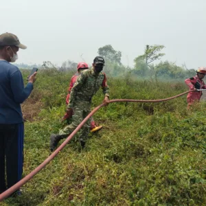Sinergi Babinsa dan Damkar Gowa Bergerak Cepat Padamkan Kebakaran Lahan di Tamannyeleng