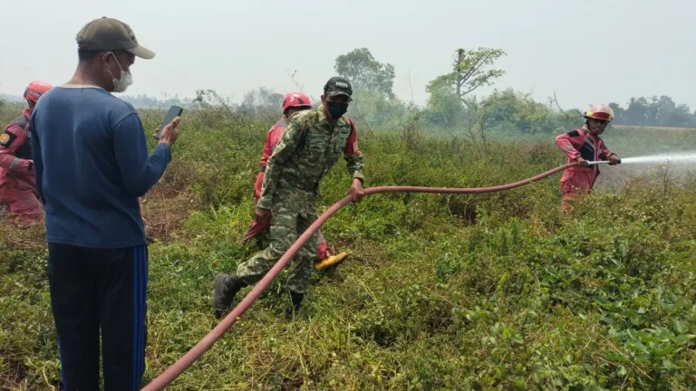 Sinergi Babinsa dan Damkar Gowa Bergerak Cepat Padamkan Kebakaran Lahan di Tamannyeleng
