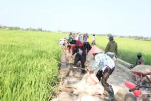 Progres 33%, Talud Penahan Tanah di Kalebarembeng Semakin Kokoh