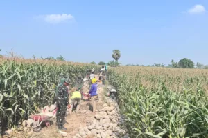 Capai 60 Persen, Talud Penahan Tanah TMMD Menjadi Benteng Pelindung Warga Kalebarembeng