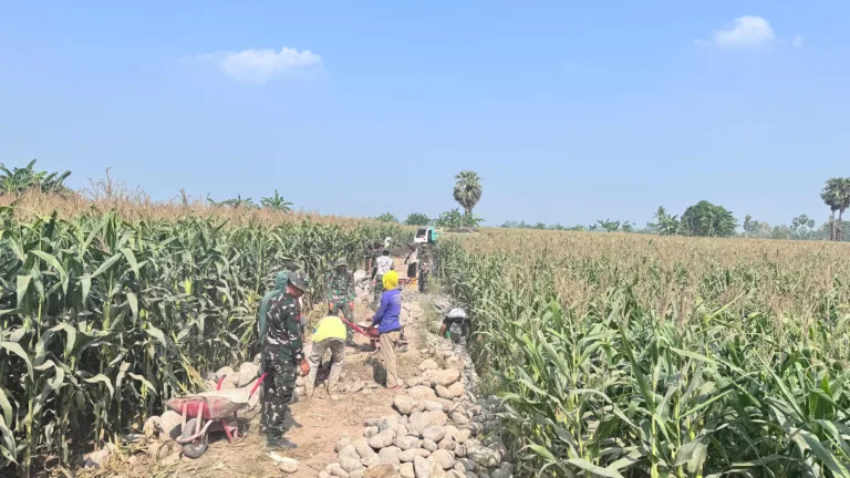 Capai 60 Persen, Talud Penahan Tanah TMMD Menjadi Benteng Pelindung Warga Kalebarembeng