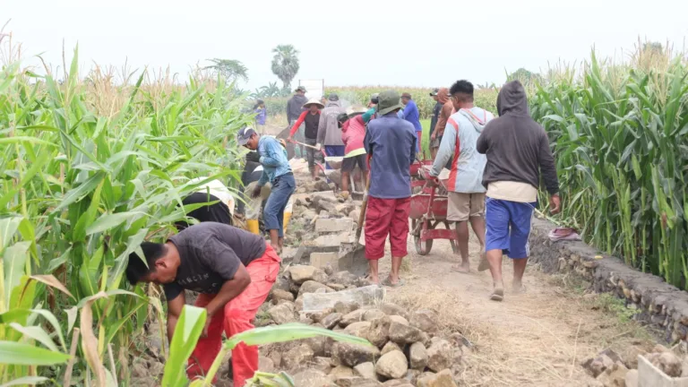 Demi Jalan Desa yang Aman, Pengerjaan Talud Penahan Tanah TMMD Tembus 65 Persen
